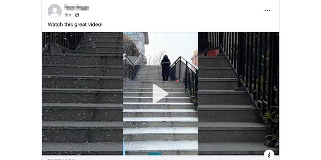 An example of how a TikTok video may appear on Facebook.