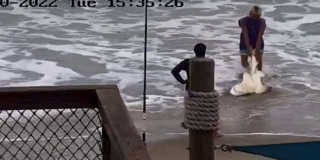 Florida authorities are asking people with information about the shark encounter to call 888-404-3922