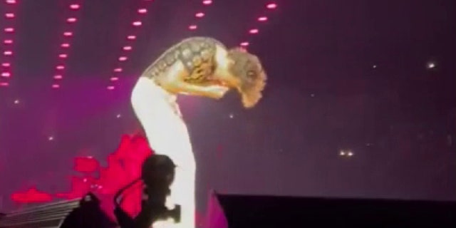 Harry Styles appeared to get pelted with a flying object during a Los Angeles show in November.