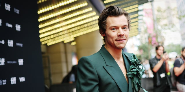 Harry Styles began his career in the boy band One Direction.