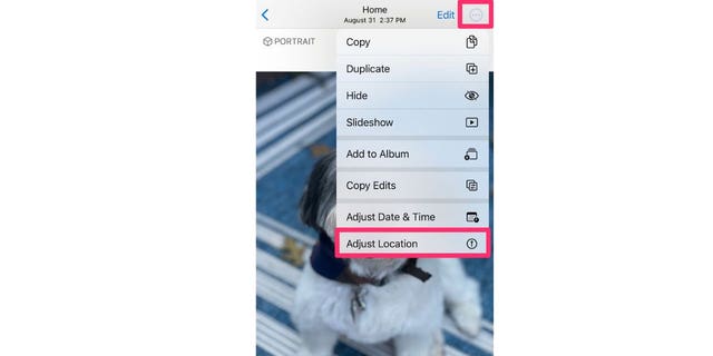 When scrolling through your photo albums, you may notice that each picture notes the location where it was taken at the top.