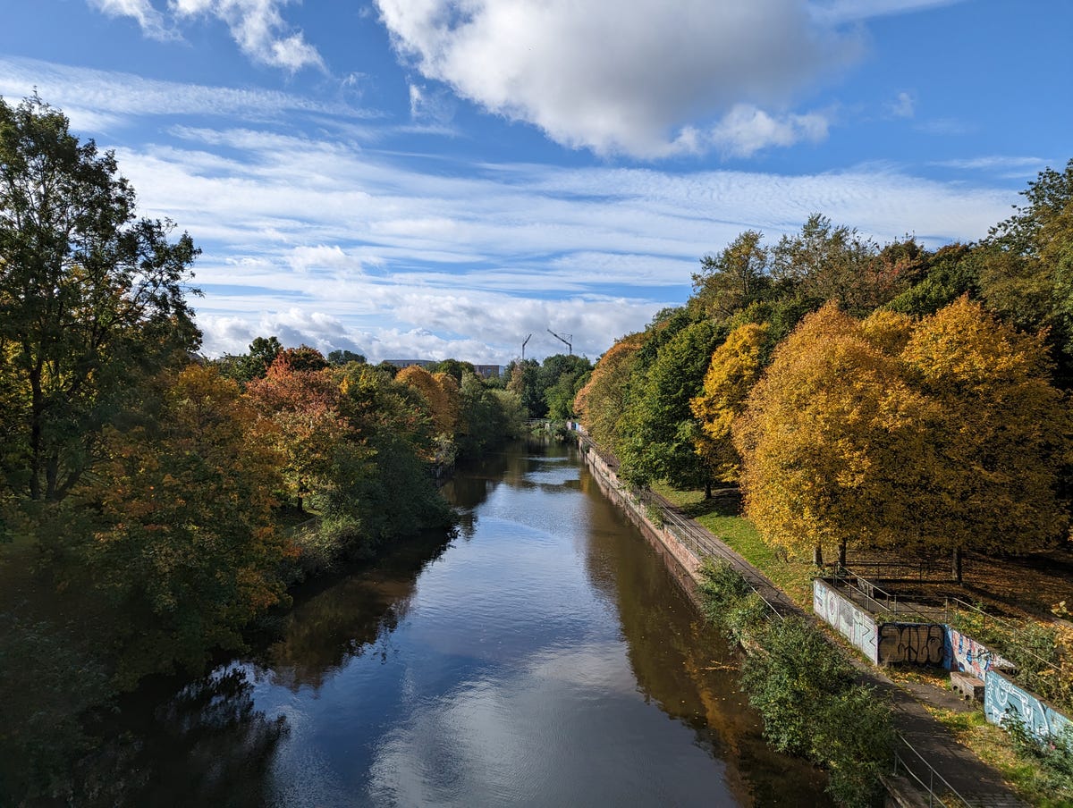 An image showing trees around a river
