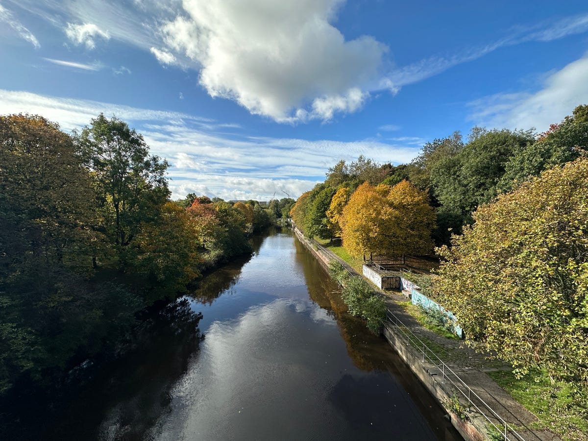 A wide angle image showing trees around a river