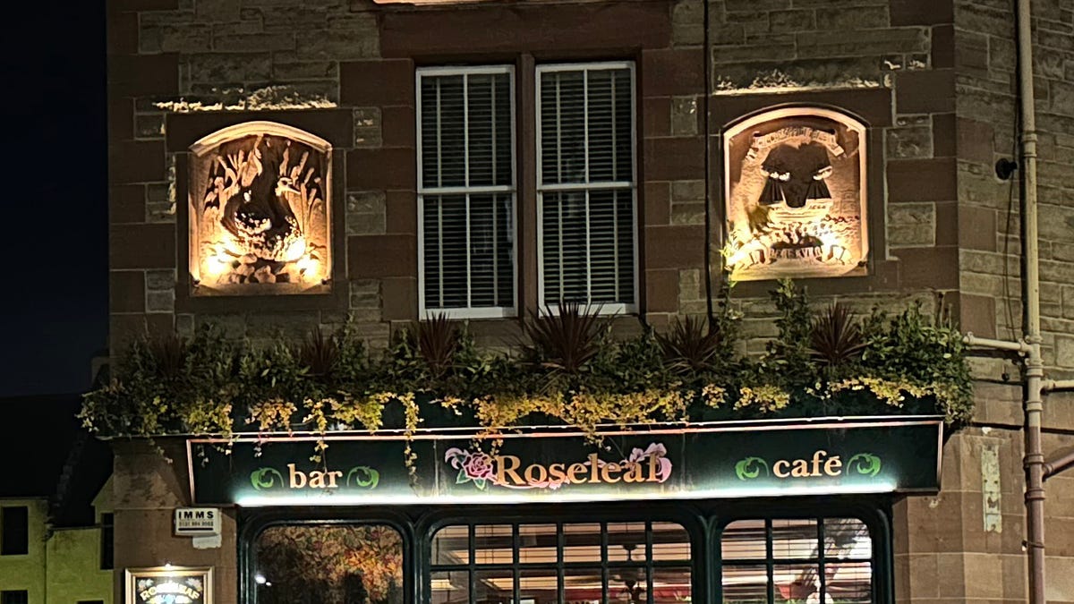 night-roseleaf-iphone-100-crop
