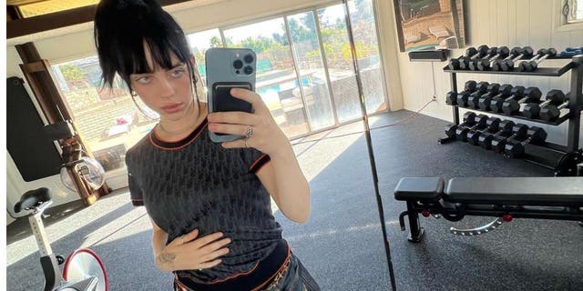 Billie Eilish's home addressed was released on the Citizen app.