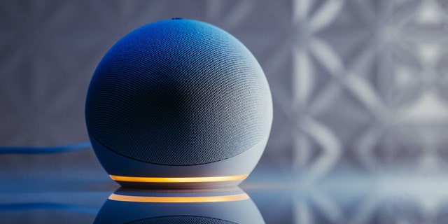 Leave your Alexa in spaces where you'd be more likely to host guests, such as the living room or kitchen.