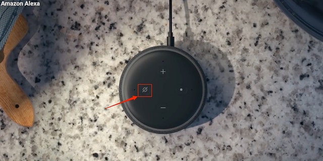 If you want to stop Amazon and Alexa from snooping on you completely, be sure to unplug any Alexa devices when not in use.