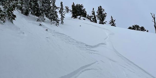 Nielson said he was able to keep most of his body above the sliding snow and radio his partner as the debris carried him down the run.