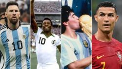 soccer goat