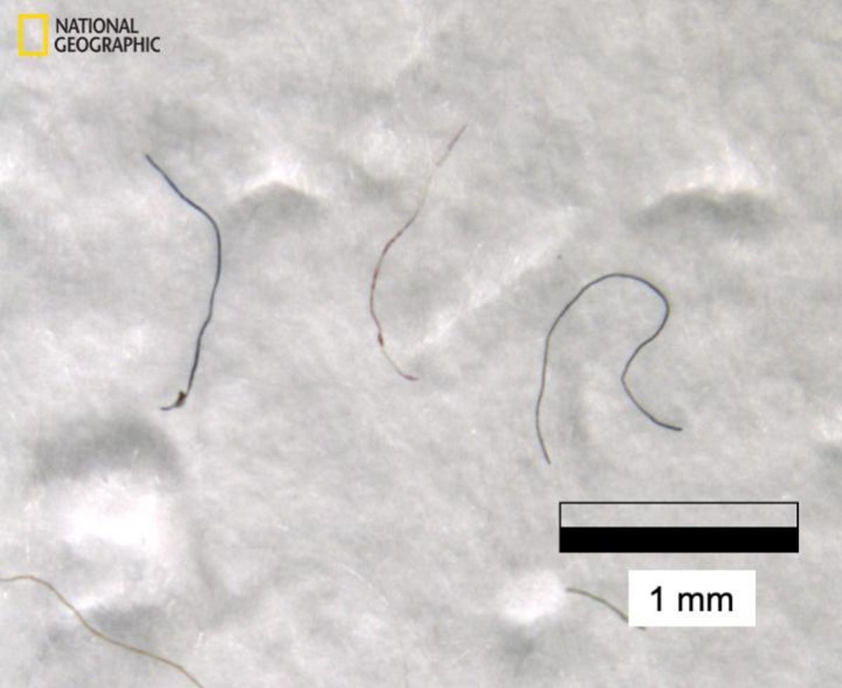everestmicroplasticsnatgeo