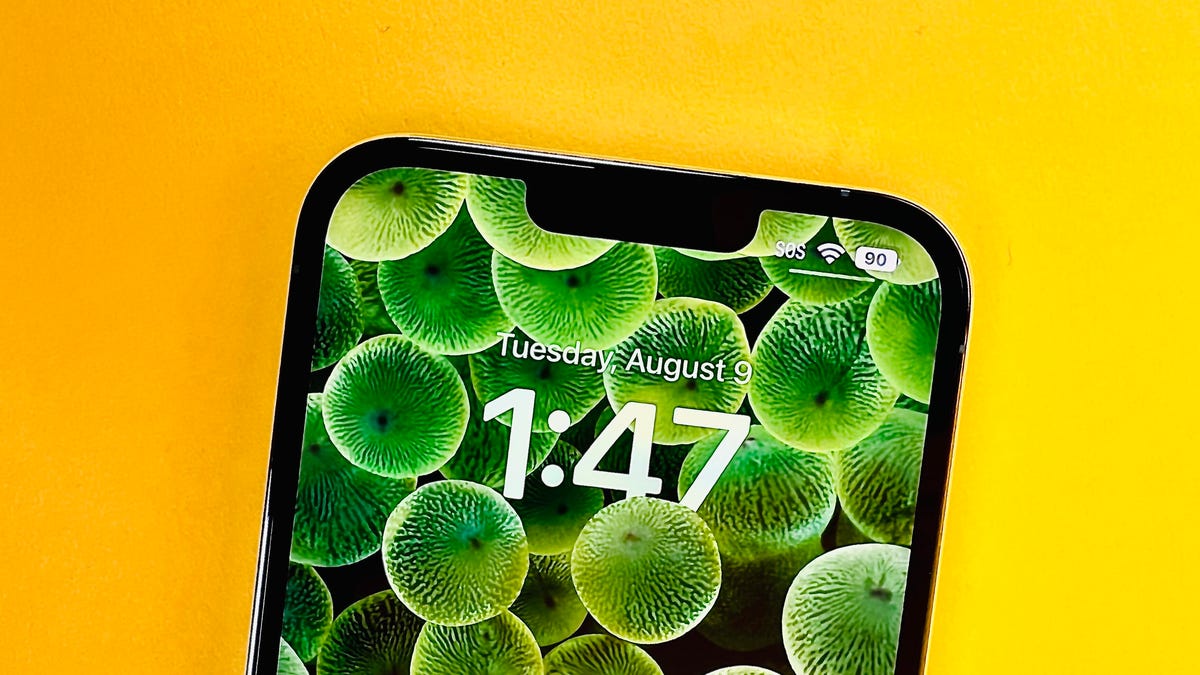 The battery icon as seen on an iPhone running iOS 16 beta