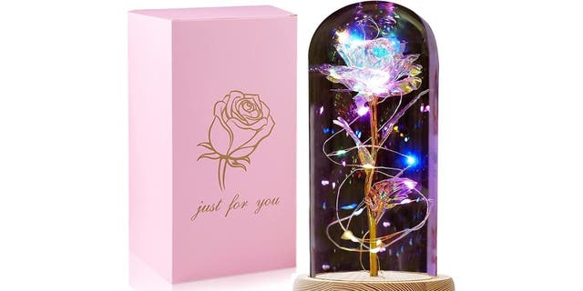 The Galaxy Rose nightlight.