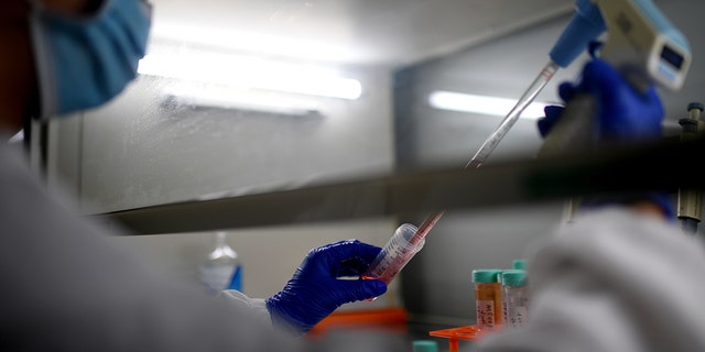 U.S. intelligence agencies believe the COVID-19 pandemic likely resulted from an accidental lab leak in Wuhan, central China. 