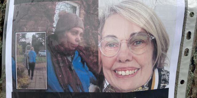 Signs in the village of Walburton, West Sussex seeking help to find missing person Laurel Aldridge. 