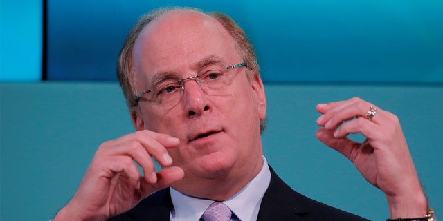 Larry Fink, CEO of BlackRock