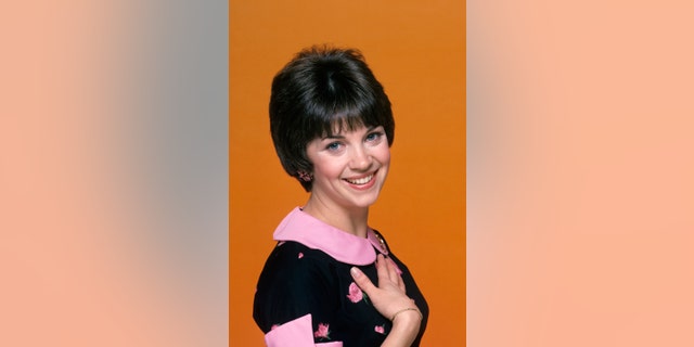 Anson said that his friendship with Cindy grew during the filming of crossover episodes of "Happy Days" and "Laverne &amp; Shirley." 