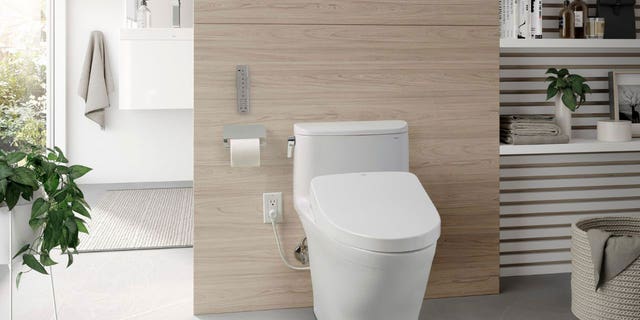 The toilet has a spray feature, among other tricks.