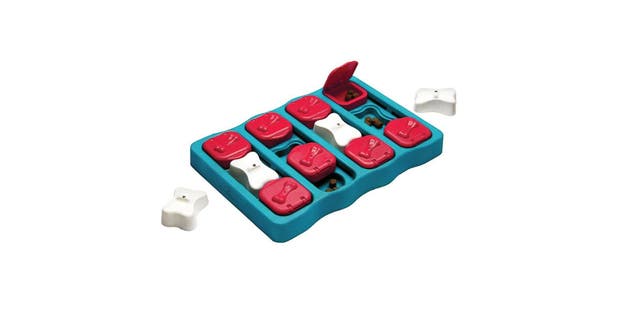 An interactive treat puzzle to help dogs work out their energy.