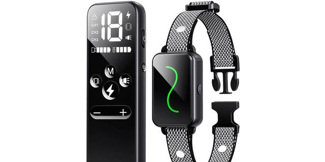 Try a vibration collar for dogs who bark too much.