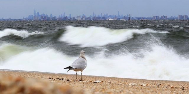 Waves break in the Atlantic Ocean in front of the Manhattan skyline on Sept. 8, 2018, as seen from Sandy Hook, New Jersey. 
