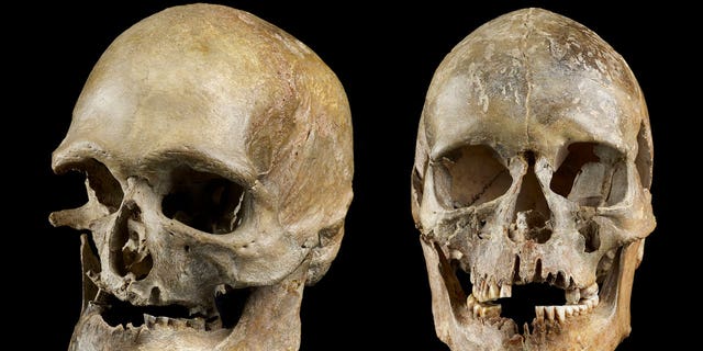 Remains found in Europe dating back to the Ice Age paint a clearer picture of where human life survived the era.