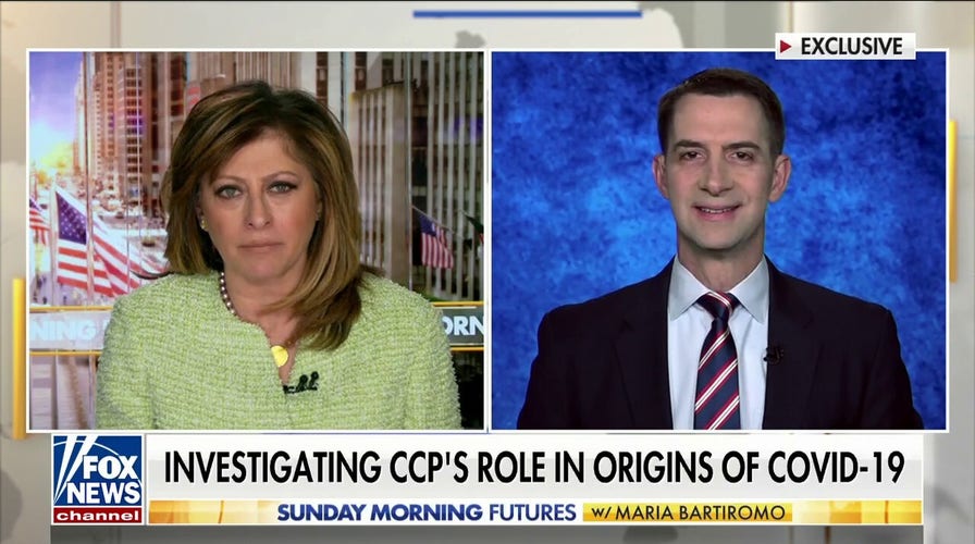 Sen. Tom Cotton rips Biden economy's contributions to SVB collapse: 'Joe Biden's failures all the way down'