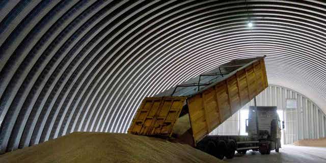 A dump truck unloads grain in the village of Zghurivka, Ukraine, on Aug. 9, 2022. Poland’s new agriculture minister vowed on April 12, 2023, to introduce quality controls on the inflow of grain from Ukraine that has been transiting through the country.