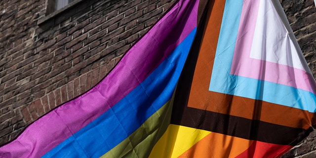 Pride Progress flag