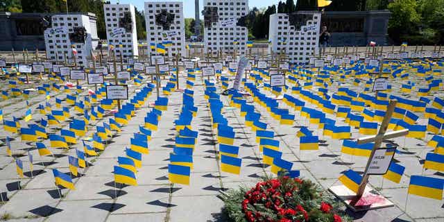 Ukraine flags