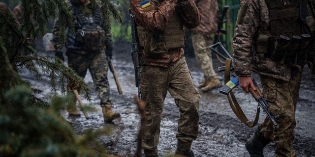 Ukraine troops
