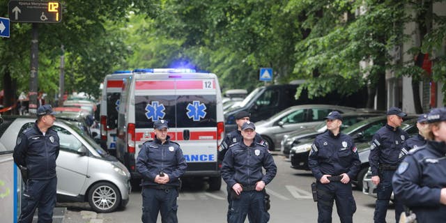 serbian police stand by