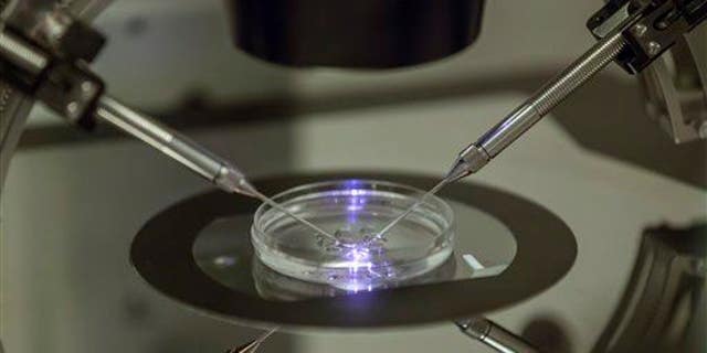 London fertility clinic
