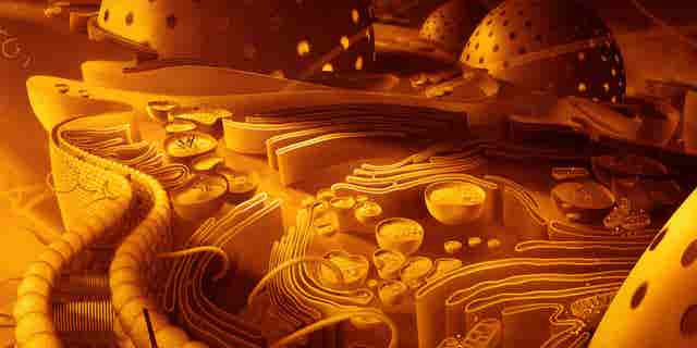 Mitochondria cell figure