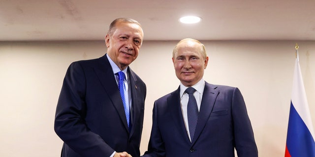 Erdogan putin