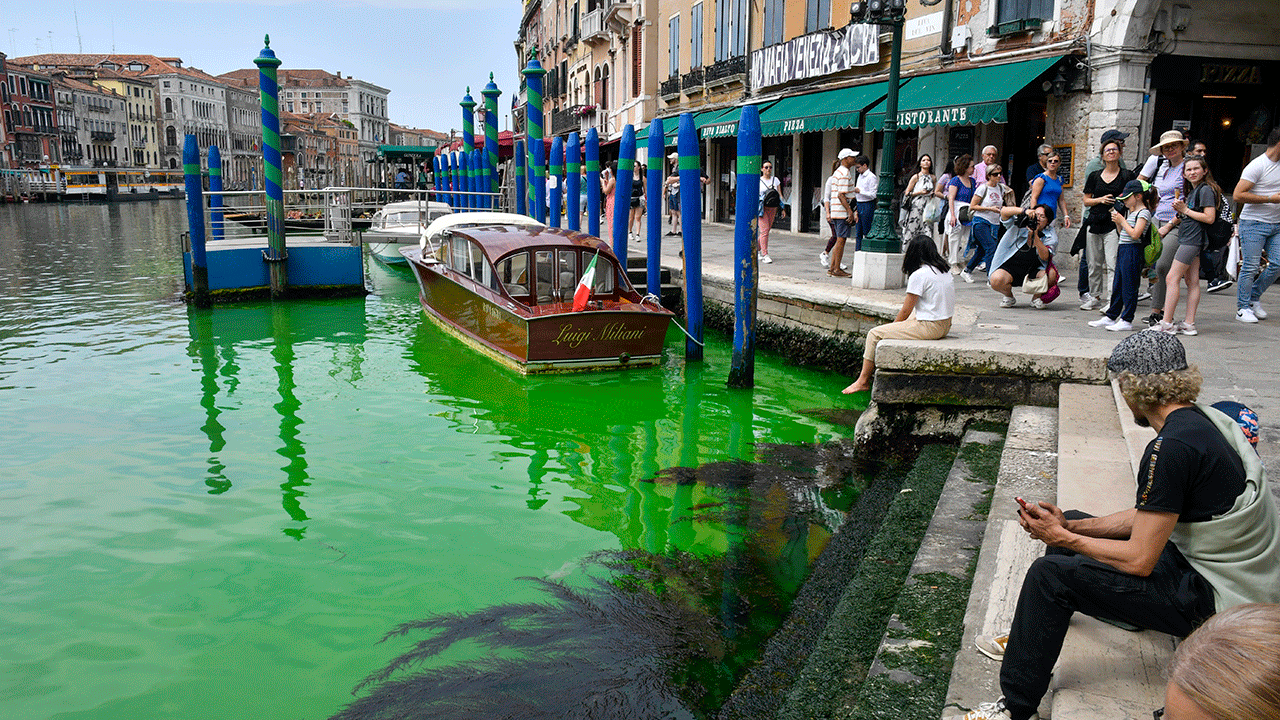 Boats docked in Venice next to tourists