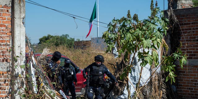 Police search area for remains