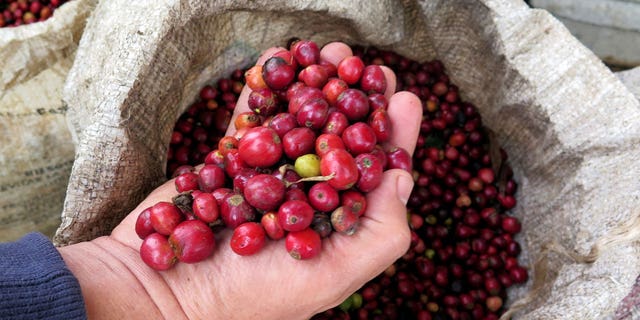 Coffee