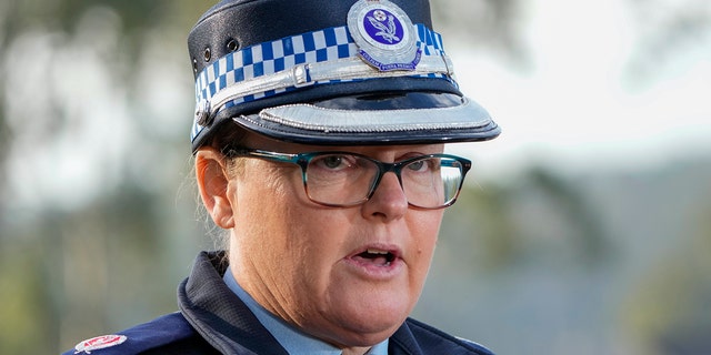 Assistant Commissioner Tracey Chapman speaking