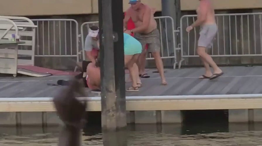 Massive brawl at Montgomery, Alabama riverfront dock caught on video