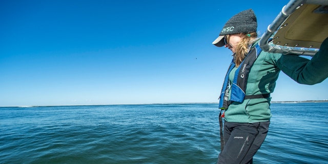 AWSC scientist Megan Winton