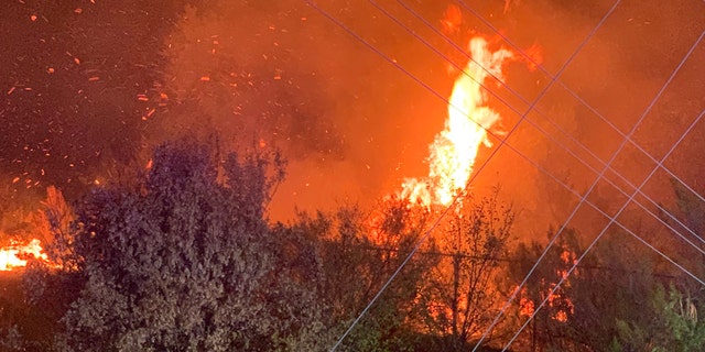 austin texas brushfire