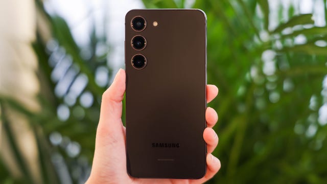back of Samsung Galaxy S23 phone, held up in front of a plant
