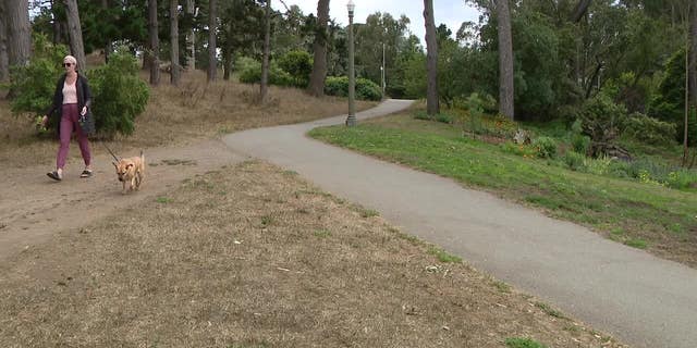 Scene near Golden Gate Park in San Francisco, where a woman's body was found