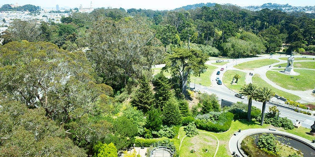 Golden Gate Park