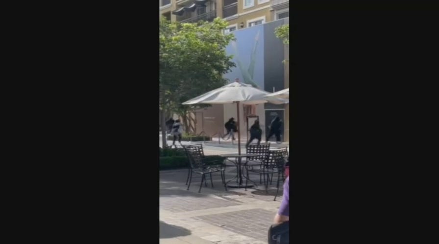 California high-end store robbed in broad daylight by mob of thieves