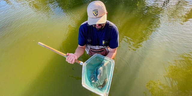 man holds fish