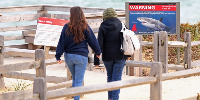 Visitors at Marconi Beach