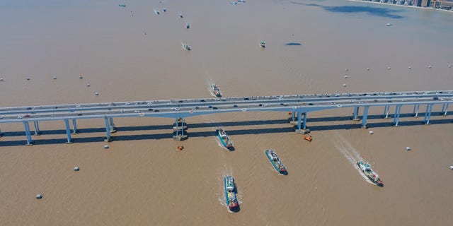 River Boats Squid