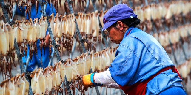 worker dries squid at food factory in China