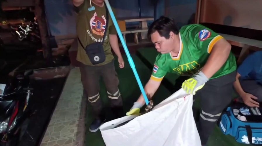 Elderly man fights off snake by biting it